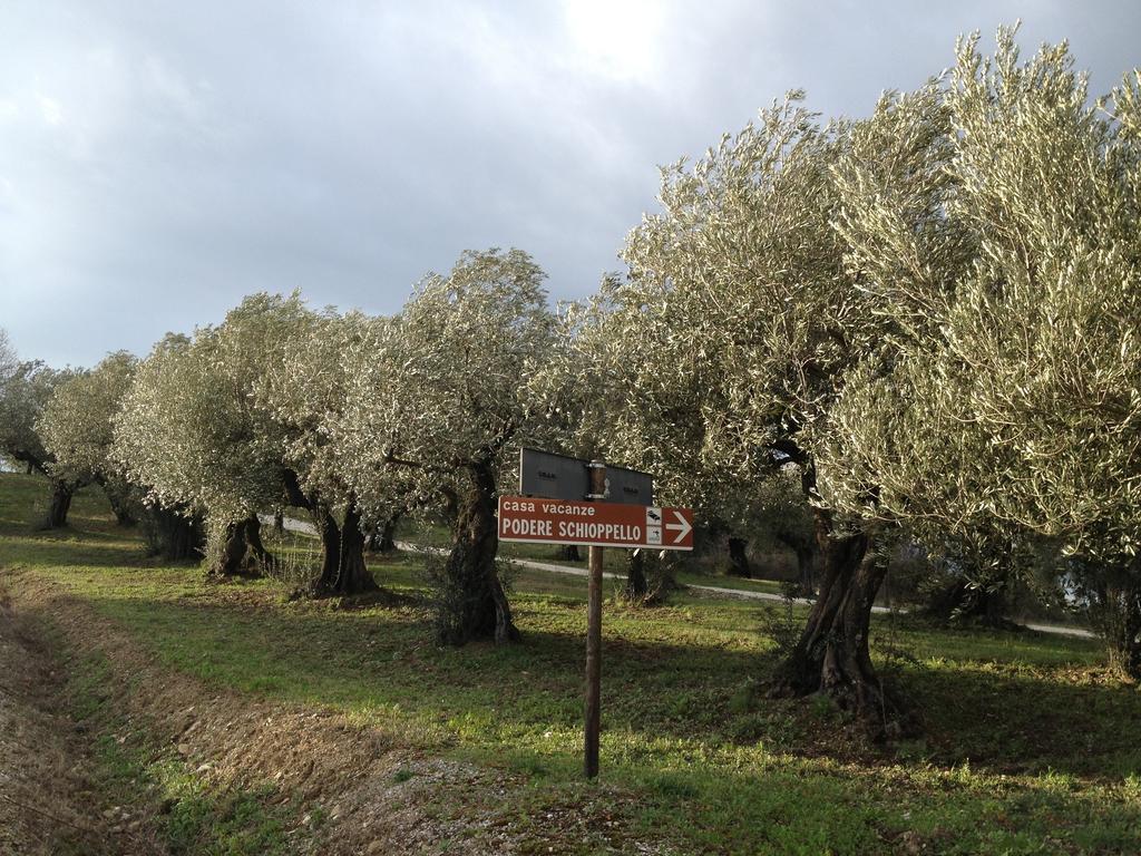 Podere Schioppello Casale Con Appartamenti Privati Cibottola 客房 照片