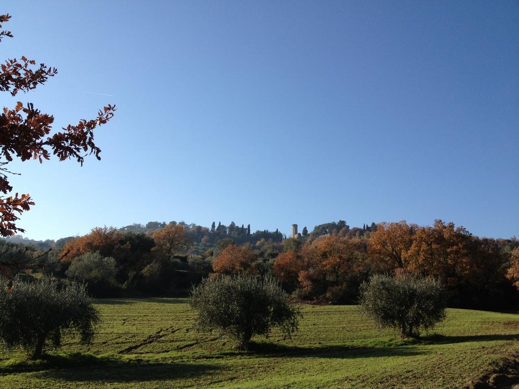 Podere Schioppello Casale Con Appartamenti Privati Cibottola 外观 照片