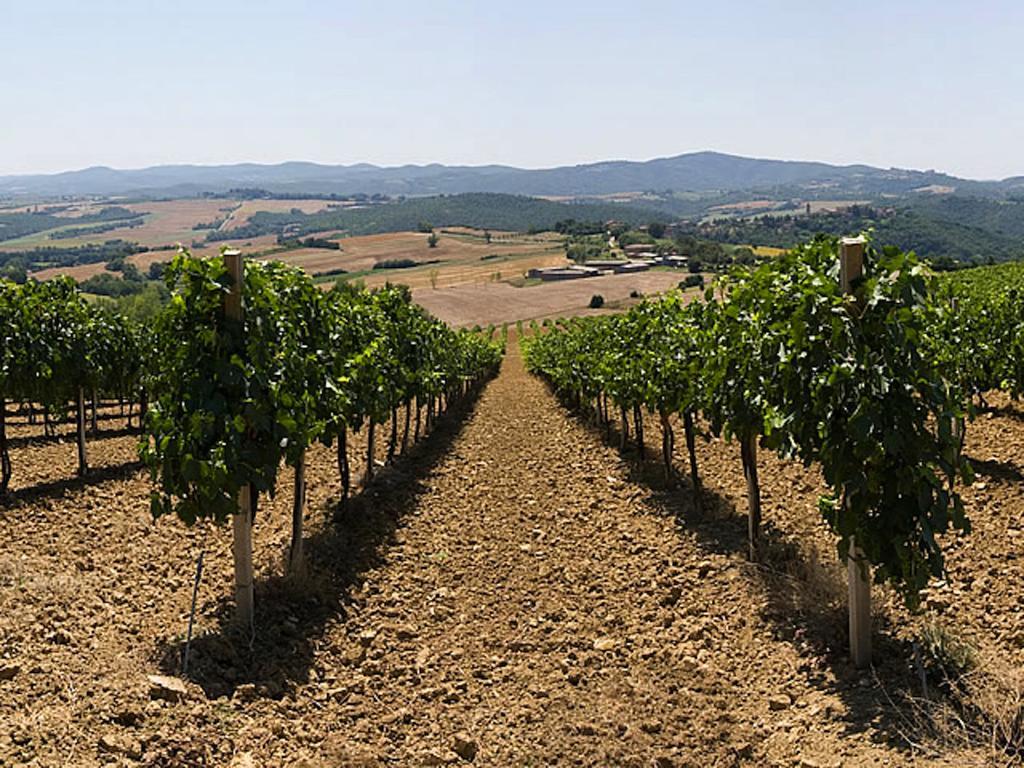 Podere Schioppello Casale Con Appartamenti Privati Cibottola 外观 照片