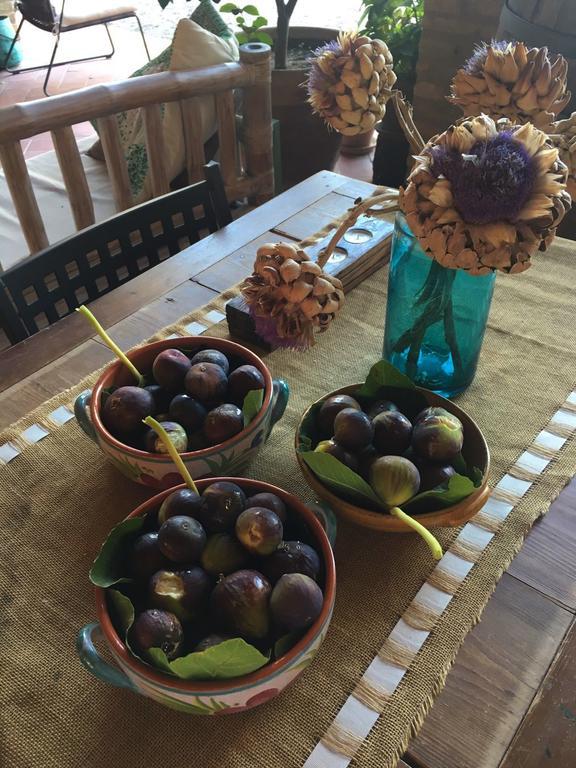 Podere Schioppello Casale Con Appartamenti Privati Cibottola 外观 照片